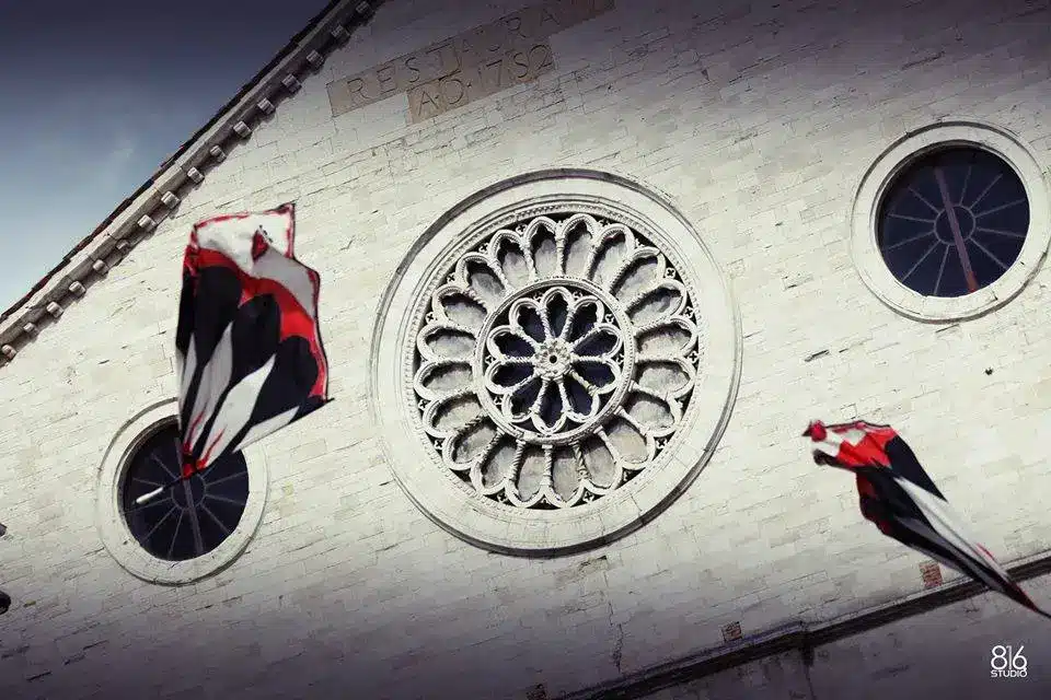 11011680_383474551838114_1310027205938860689_n