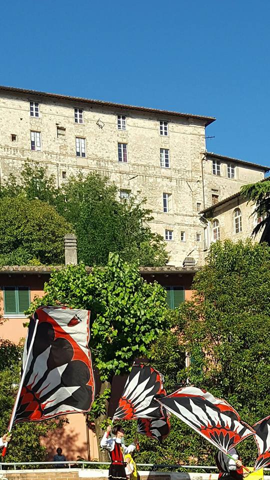 18698408_657615747757325_458369921749374226_n