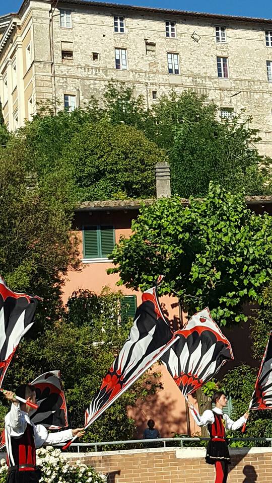 18765911_657615664424000_8819491620922614738_n