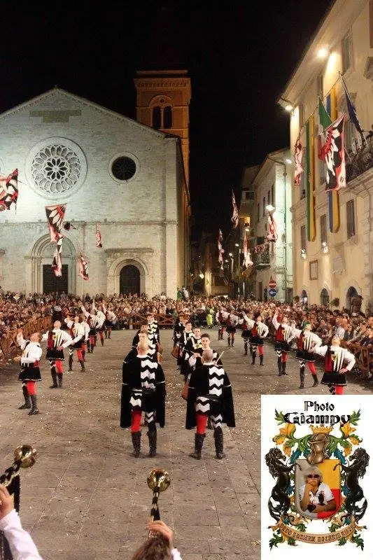 1903017_235941936591377_936981460_n